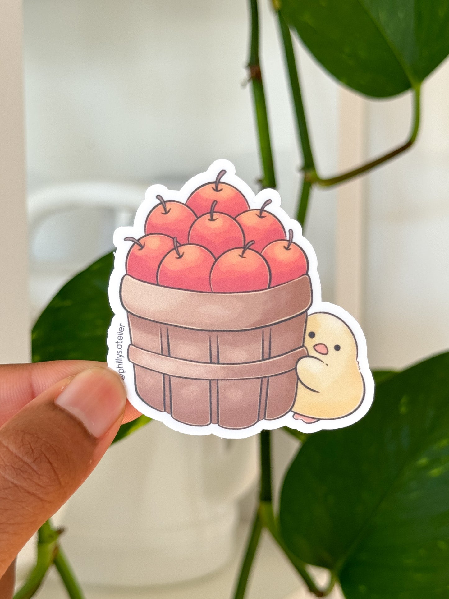 Apple Barrel Vinyl Sticker
